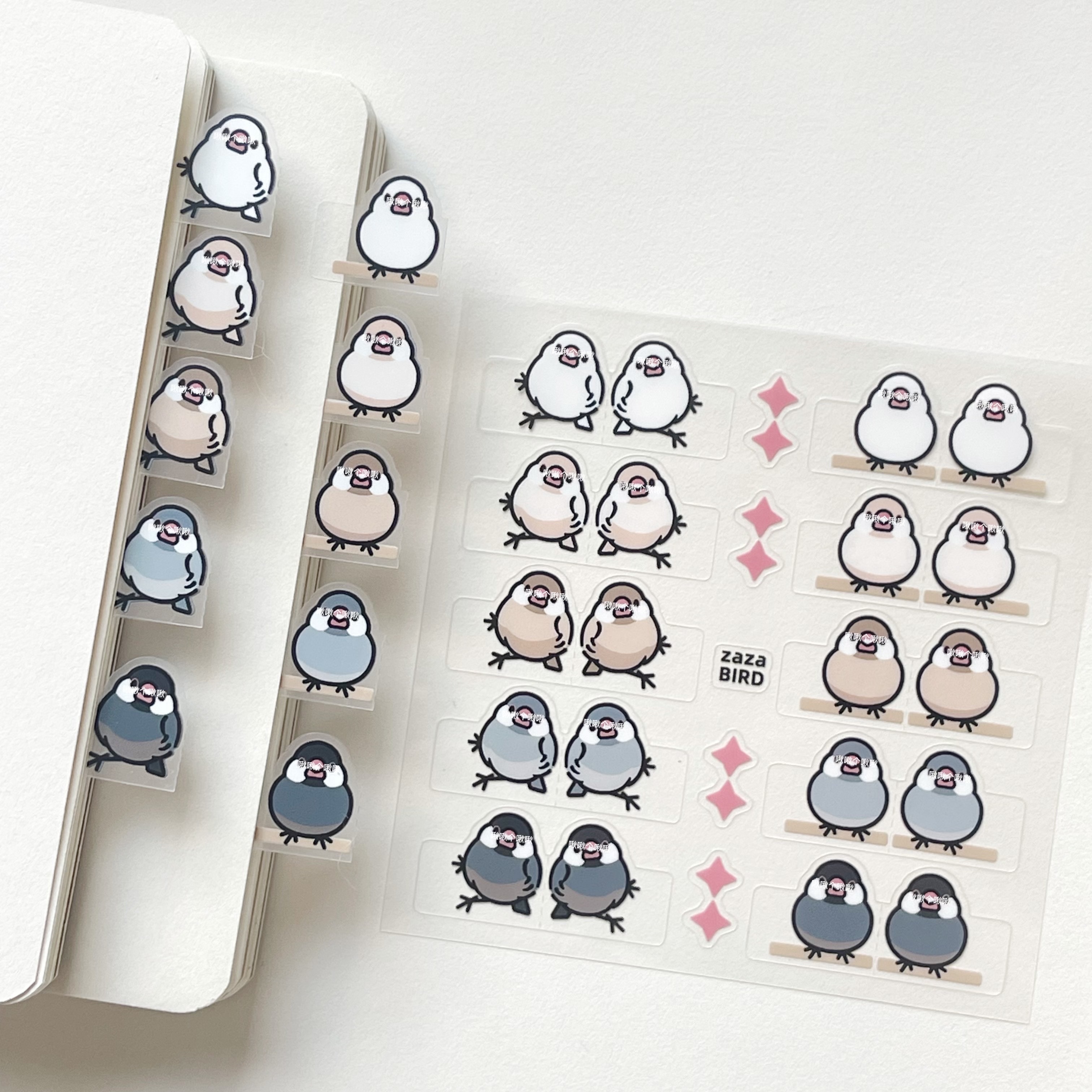 【啾啾個啾啾】文鳥標籤貼（約1-2月到貨）