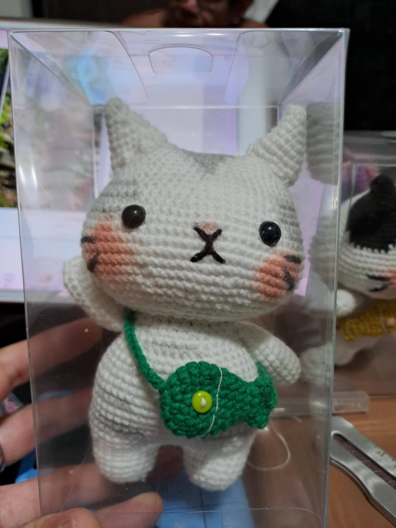 揹包包貓咪（小V）