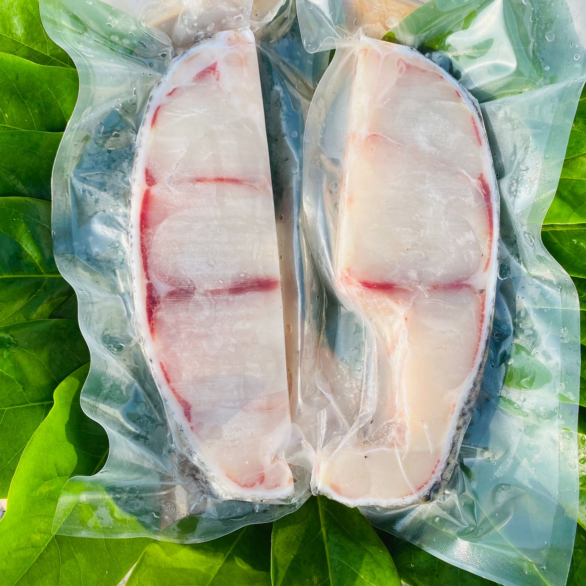 龍膽石斑魚肉輪切
