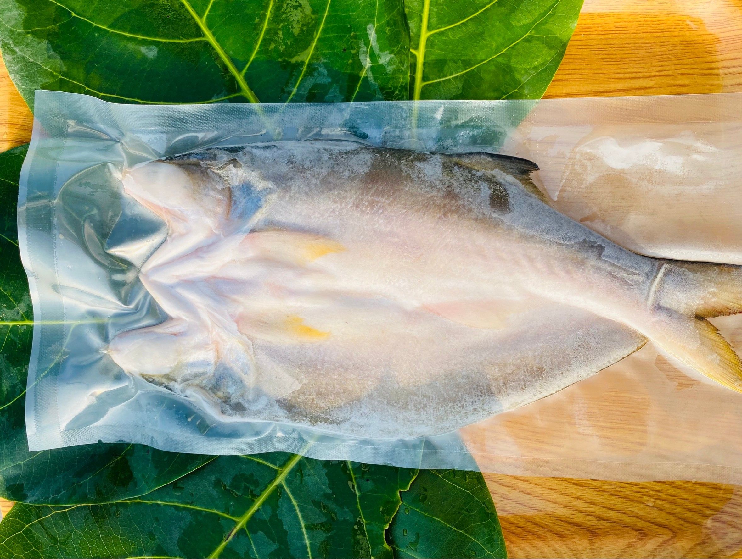 午魚一夜乾