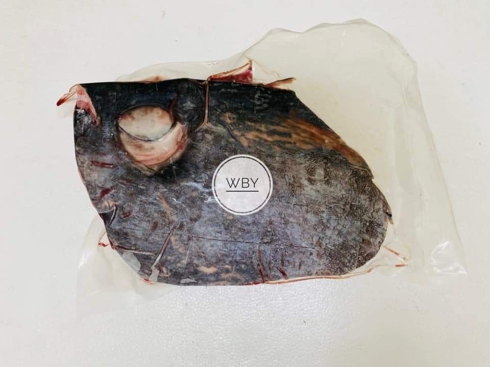 黑鮪魚眼睛