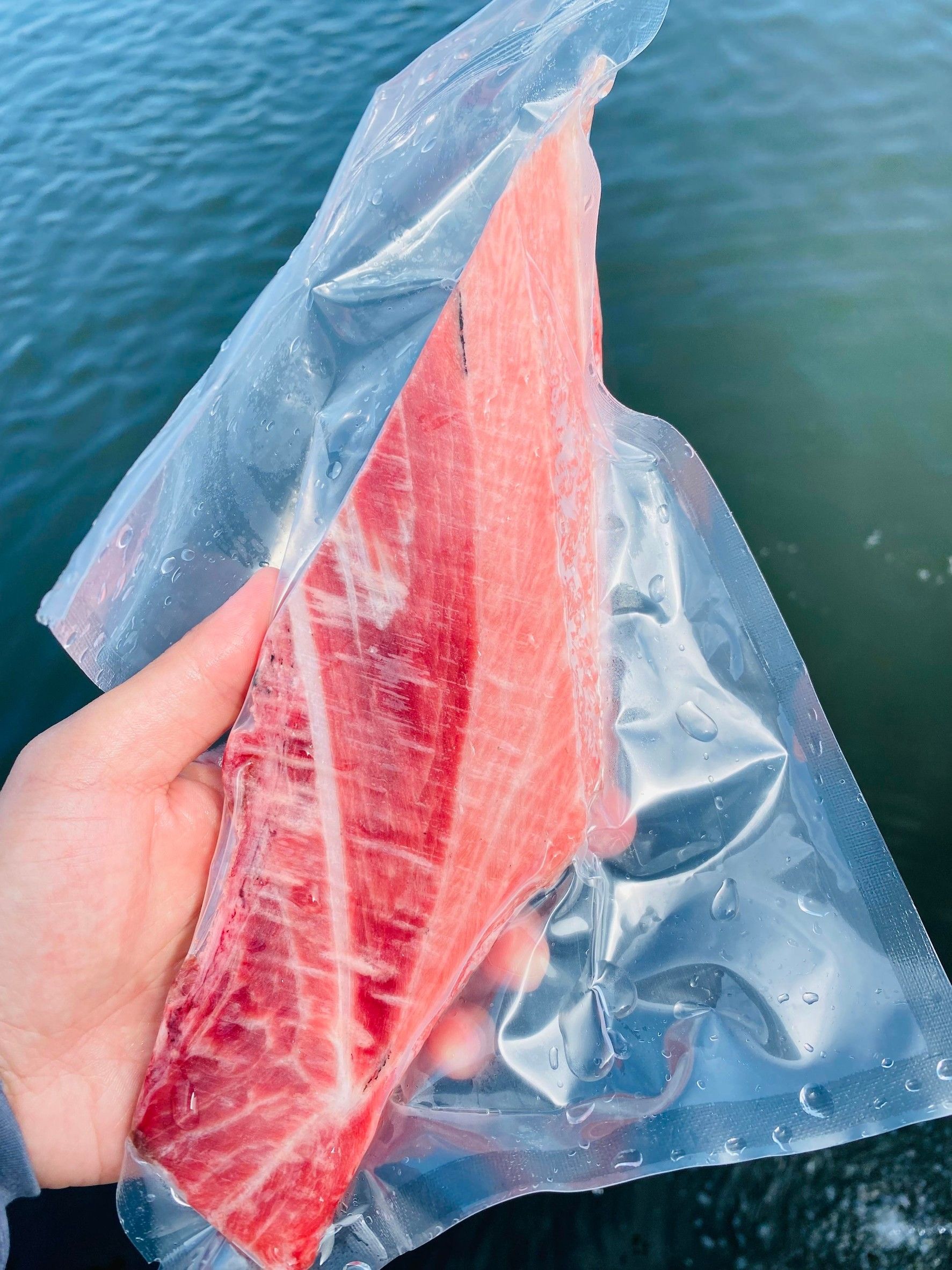 黑鮪魚下巴