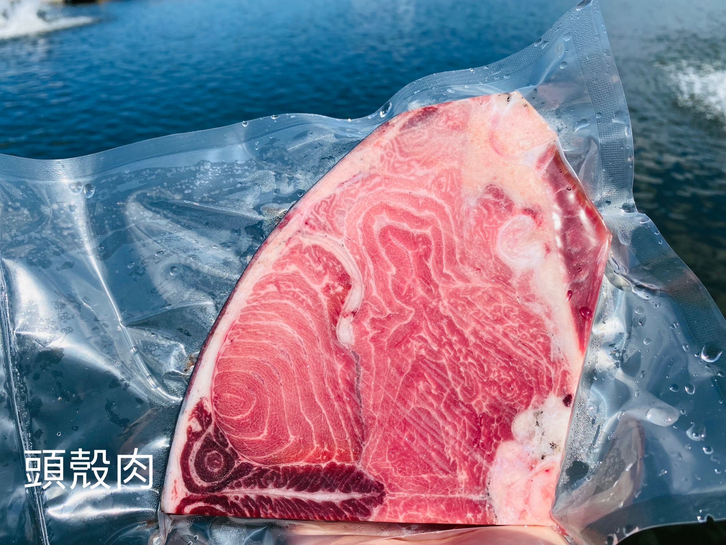 黑鮪魚頭殼肉（腦天肉）