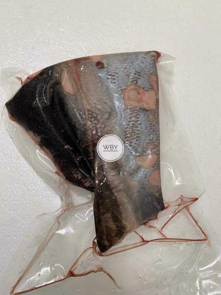 黑鮪魚尾巴