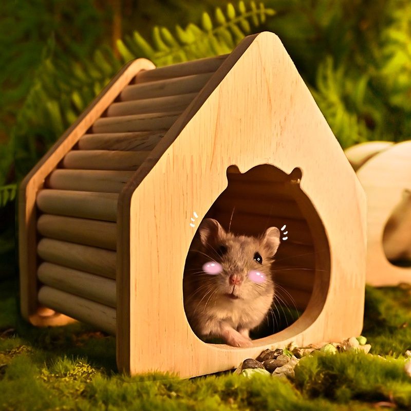 倉鼠屋 倉鼠小屋 睡窩 蹺蹺板 雙層別墅 倉鼠玩具 倉鼠用品 倉鼠睡窩 寵物鼠窩 倉鼠木屋 倉鼠窩