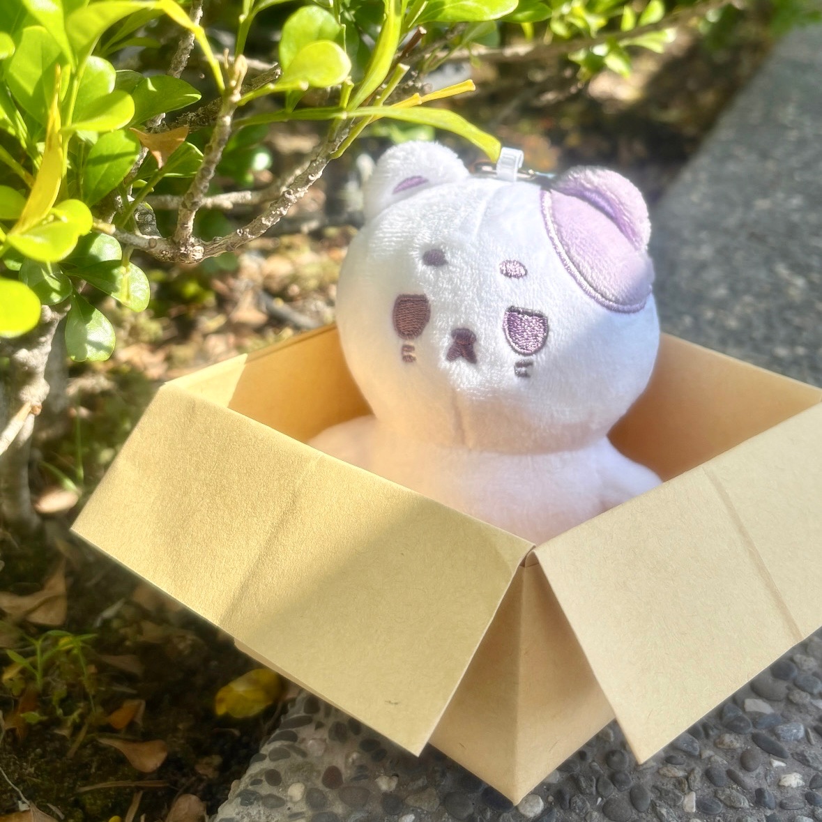 ✶吻咪（最後庫存）✶