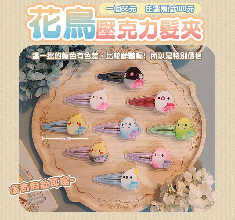 【啾寶say嘣啾~】鸚鵡花鳥髮夾