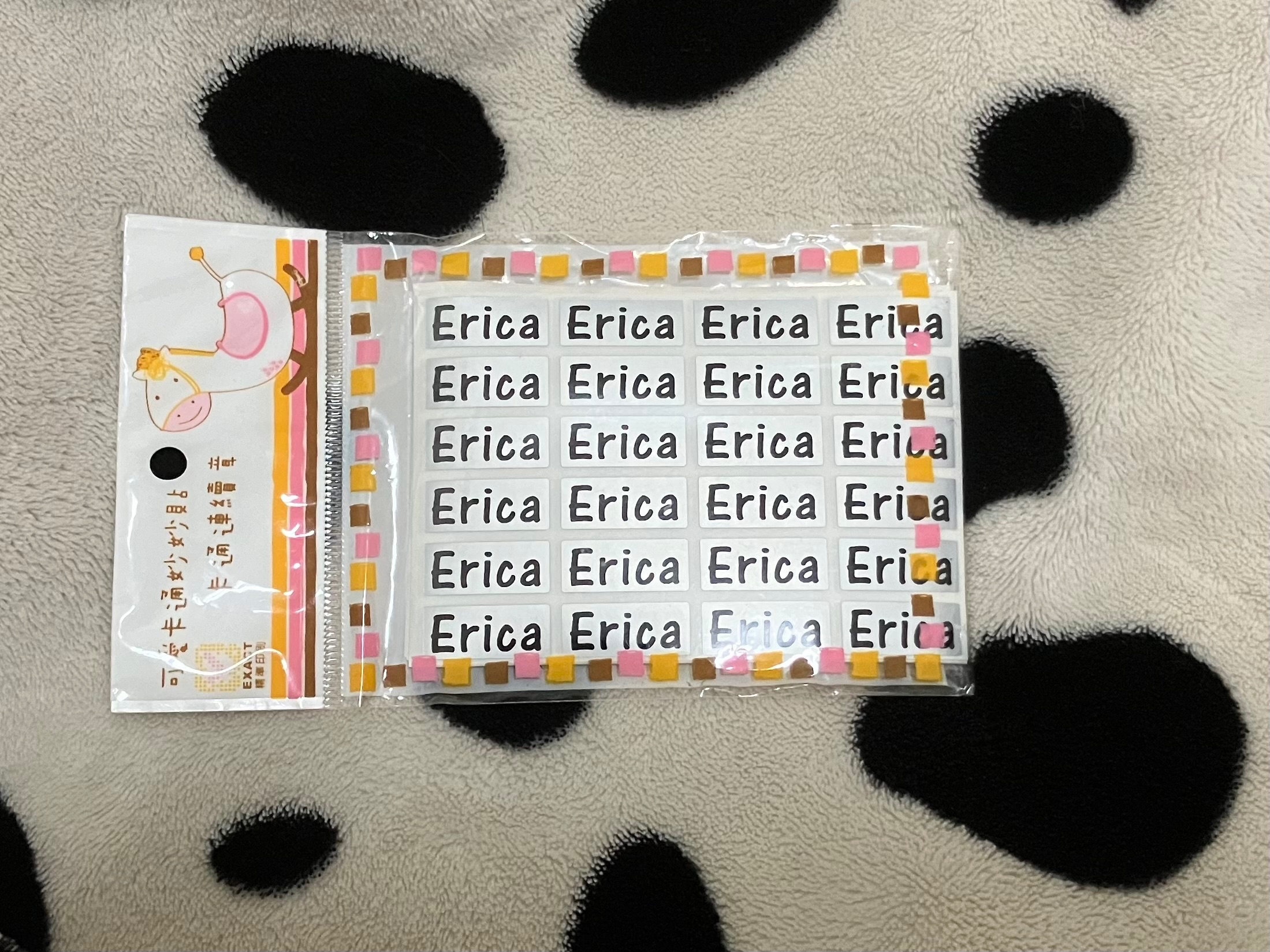 ⑨英文姓名貼Erica｜NTD 10