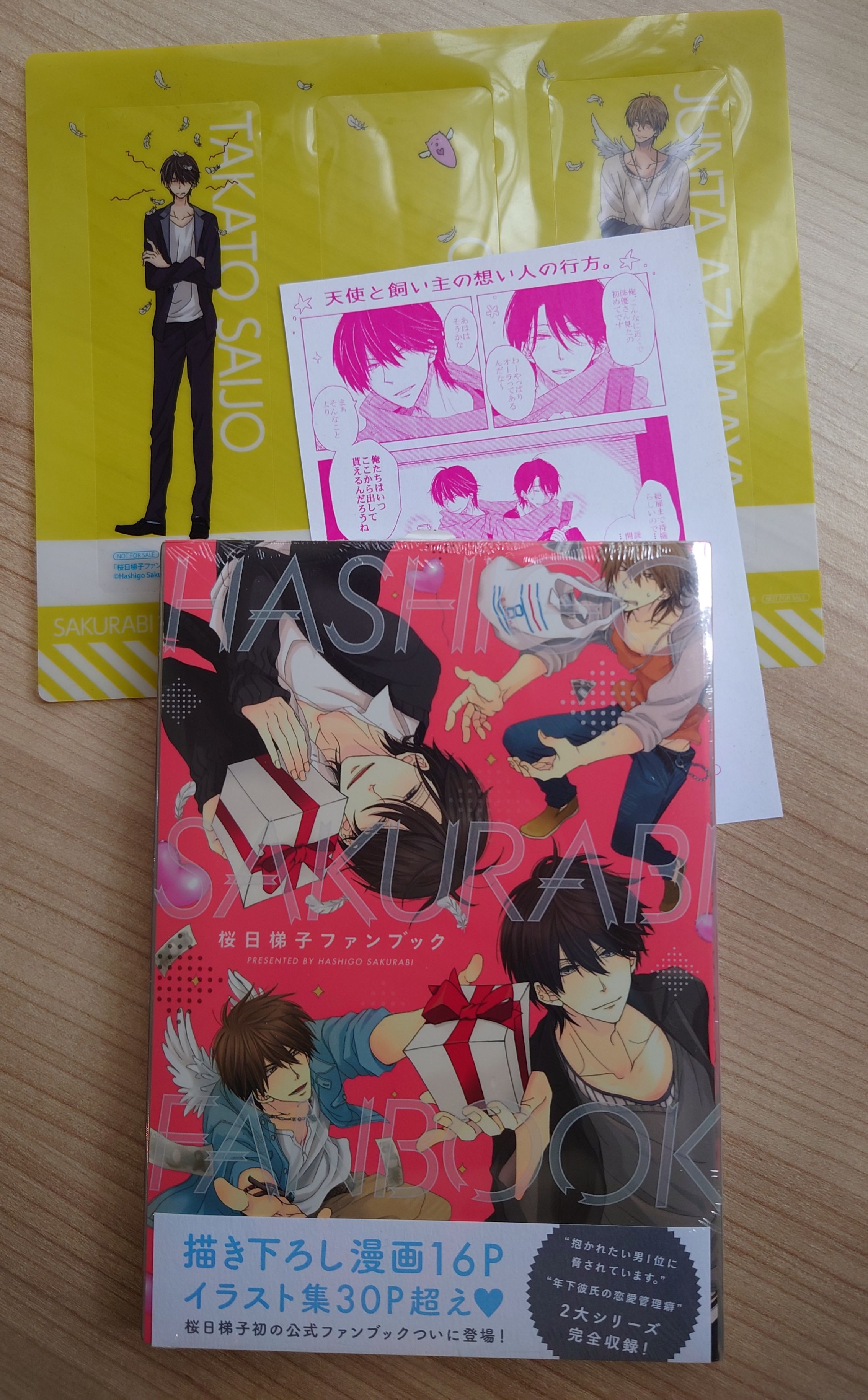 桜日梯子FAN BOOK （全新未拆）