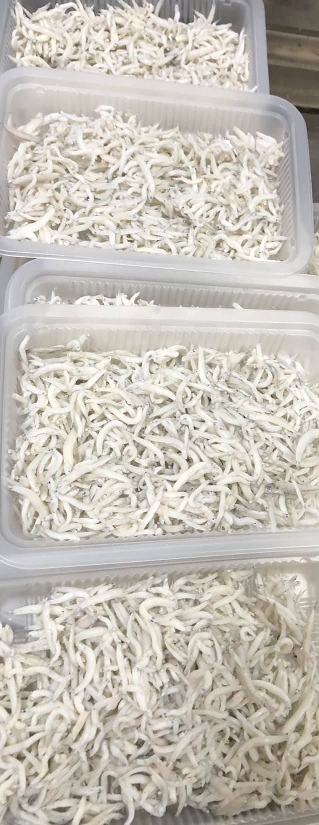 熟吻仔魚