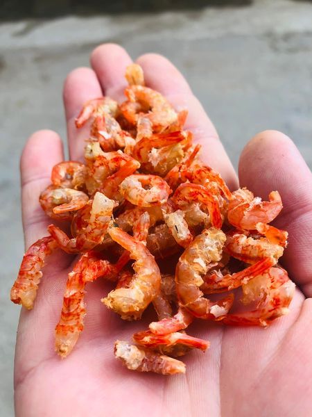 澎湖頂級狗蝦米