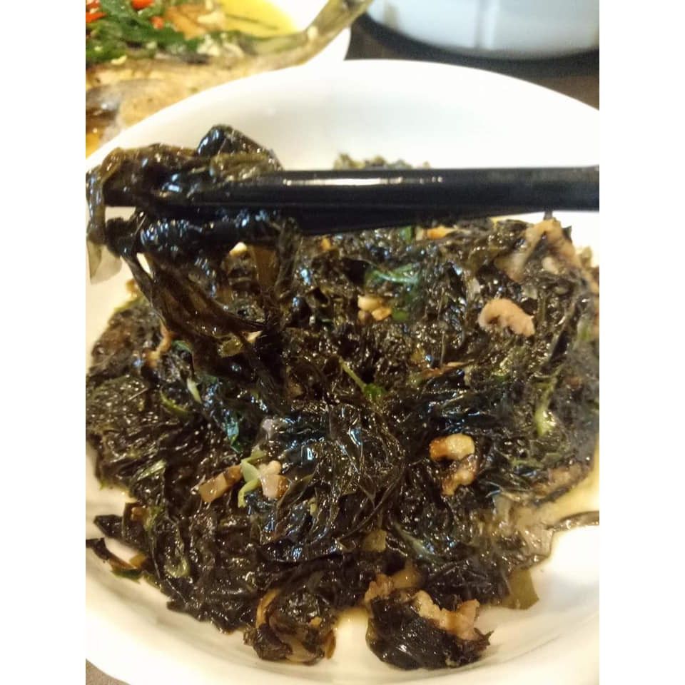 澎湖放養紫菜
