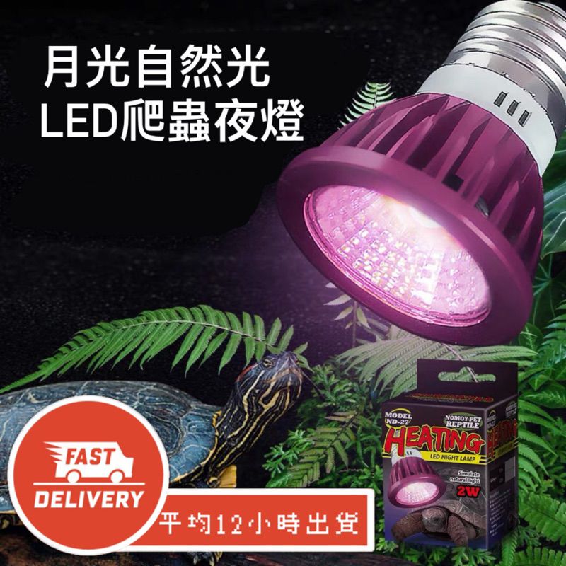 【星澳水族工作室】LED夜燈 爬蟲夜燈 月光燈 仿月光燈
