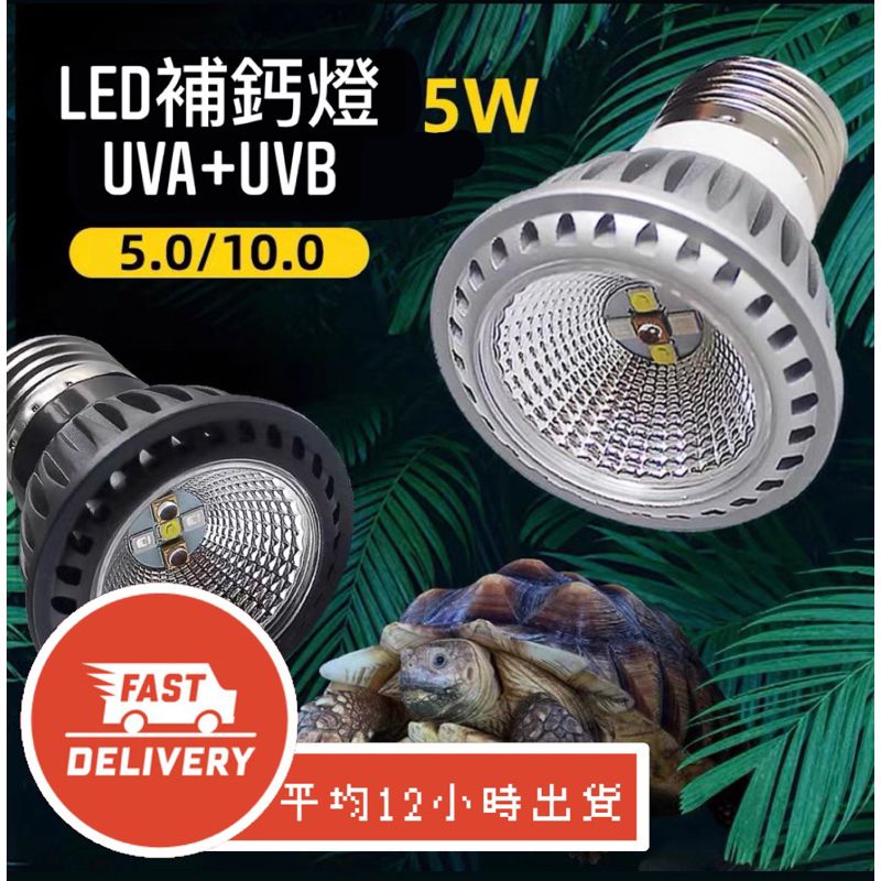 【星澳水族工作室】UVB+UVA 全光譜補鈣燈 LED 太陽燈 補鈣燈 爬蟲曬背燈 紫外線 補鈣 紫外線燈 曬背燈