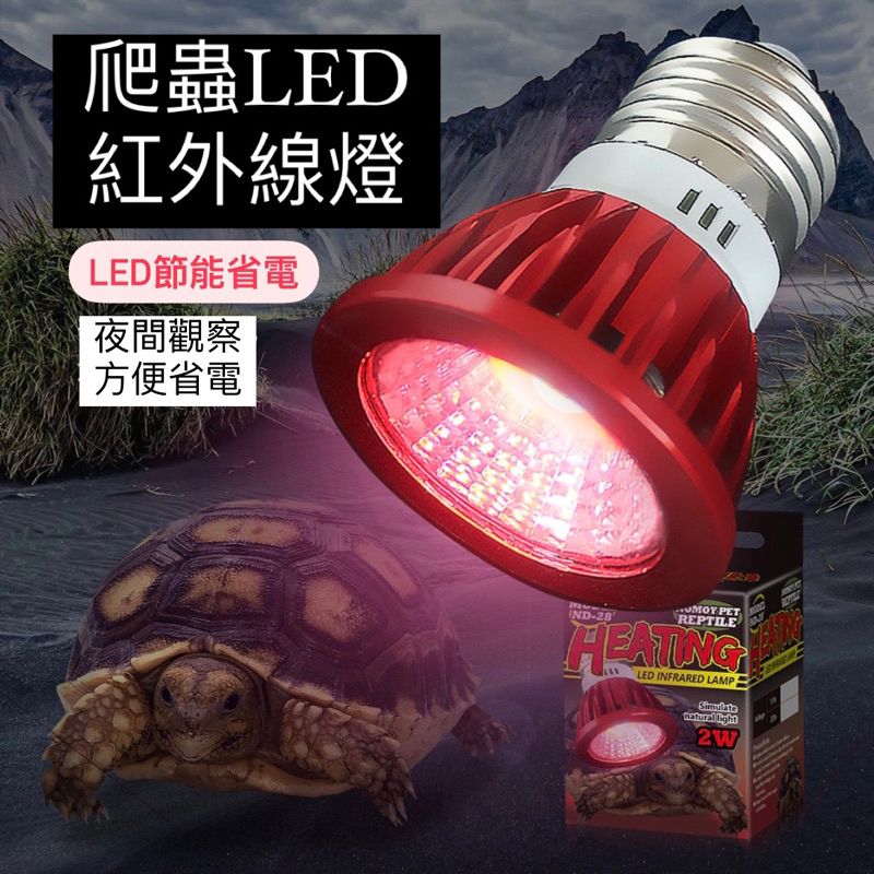 【星澳水族工作室】紅外線觀察燈 增加食慾 夜間觀察燈 爬蟲觀察燈 紅外燈 爬蟲燈 保溫燈 蛇 陸龜 蜥蜴 烏龜 蘇卡達