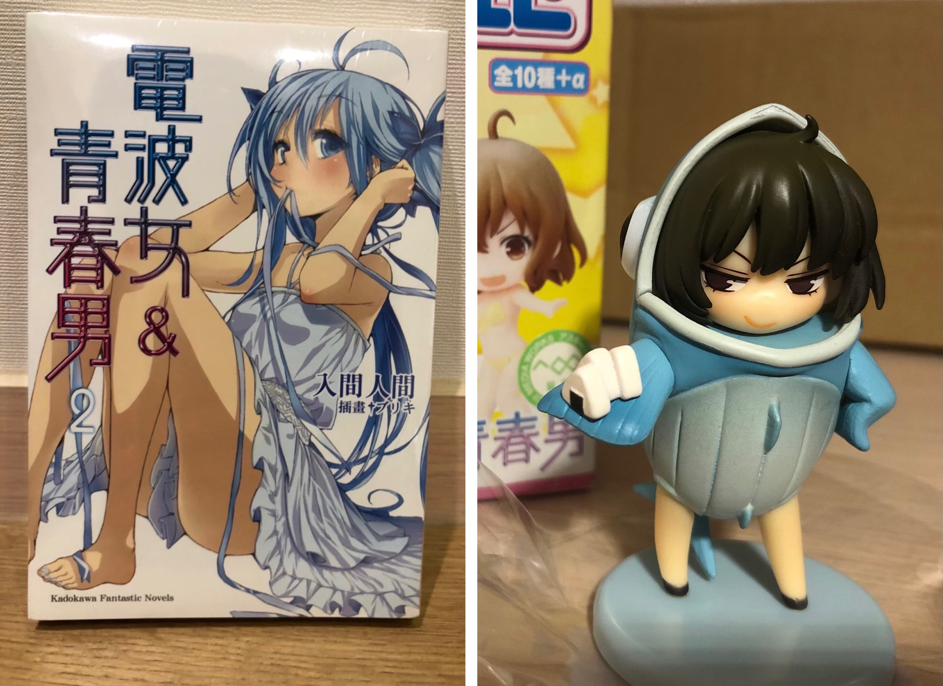 電波女與青春男 小說公仔套組