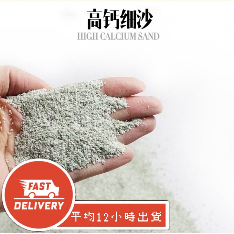 【星澳水族工作室】 爬蟲鈣沙 獨立包裝 爬蟲沙 蜥蜴沙 蜥蜴 守宮沙 守宮 爬蟲砂 爬蟲鈣砂 沙子 墊材 椰土 爬蟲墊