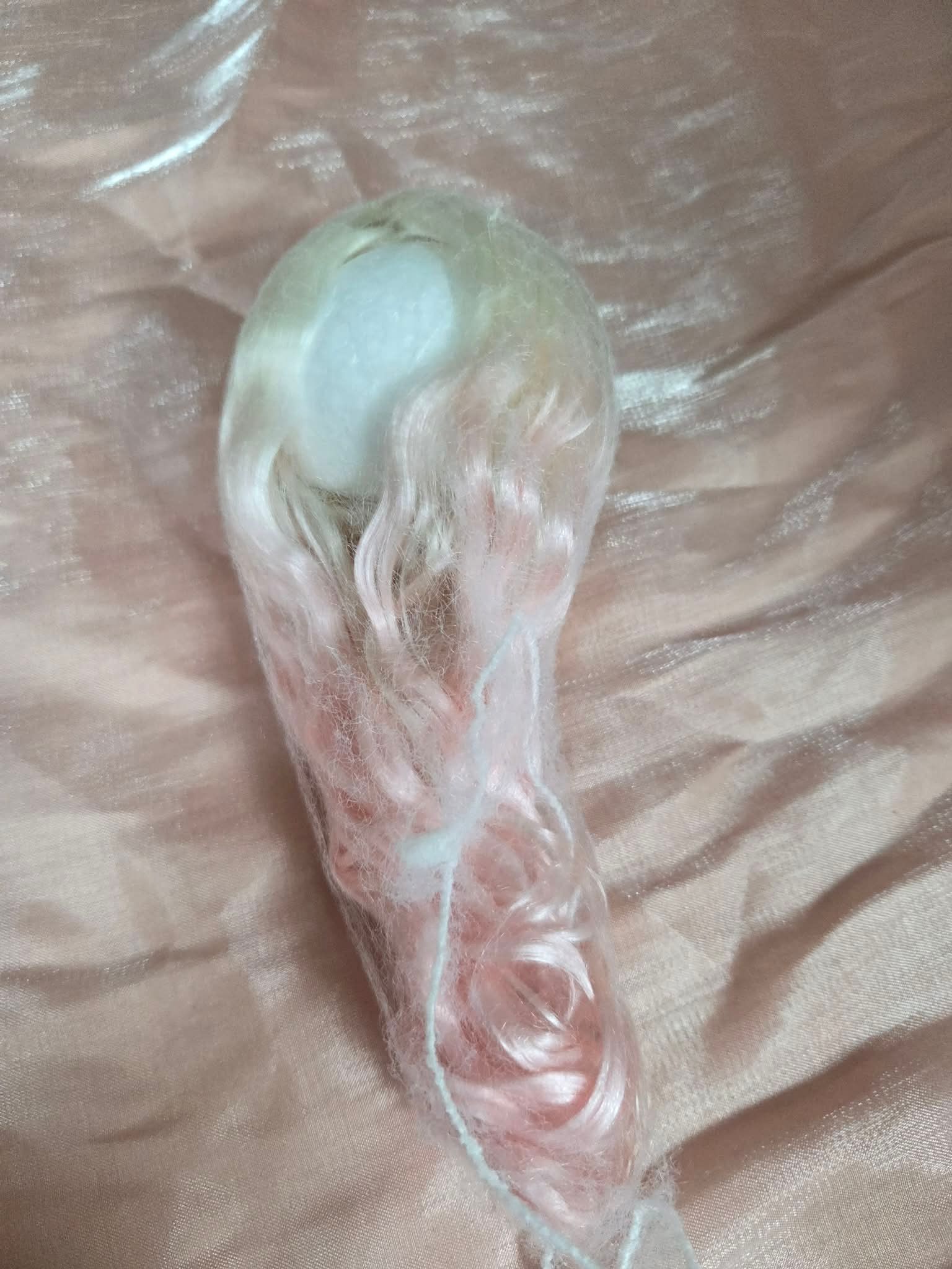 馬海毛毛胚帶瀏海白粉四分，注意是毛胚