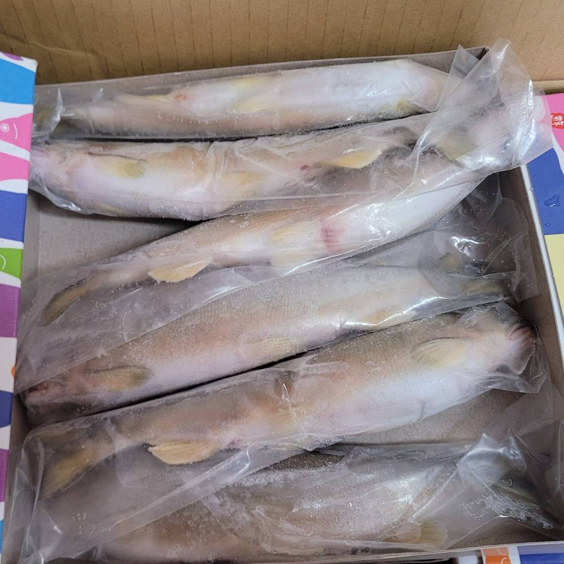 爆卵母香魚