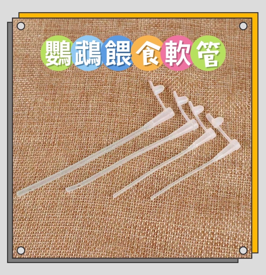 鸚鵡餵食軟管