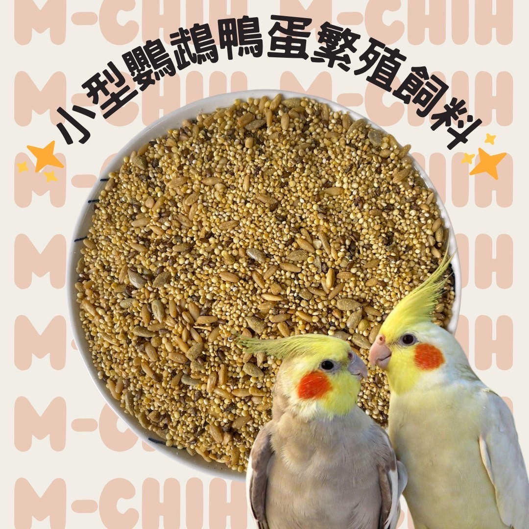 小型鸚鵡鴨蛋繁殖飼料