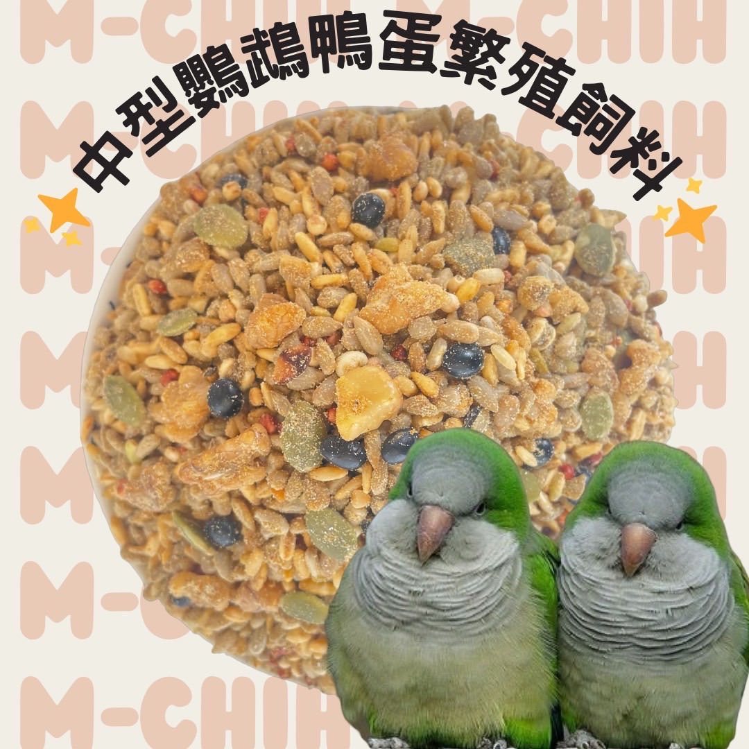 中型鸚鵡鴨蛋繁殖飼料