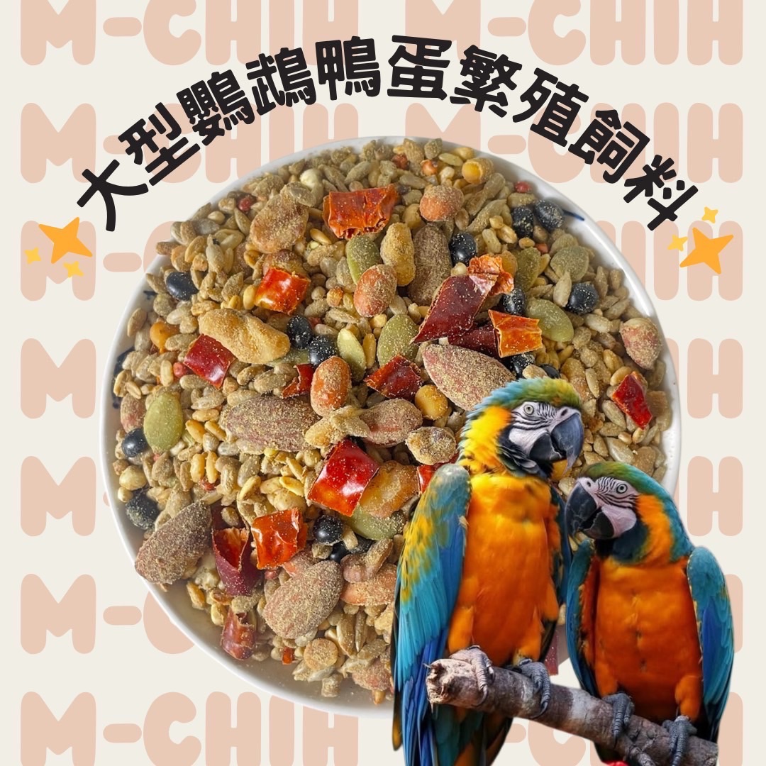 大型鸚鵡鴨蛋繁殖飼料