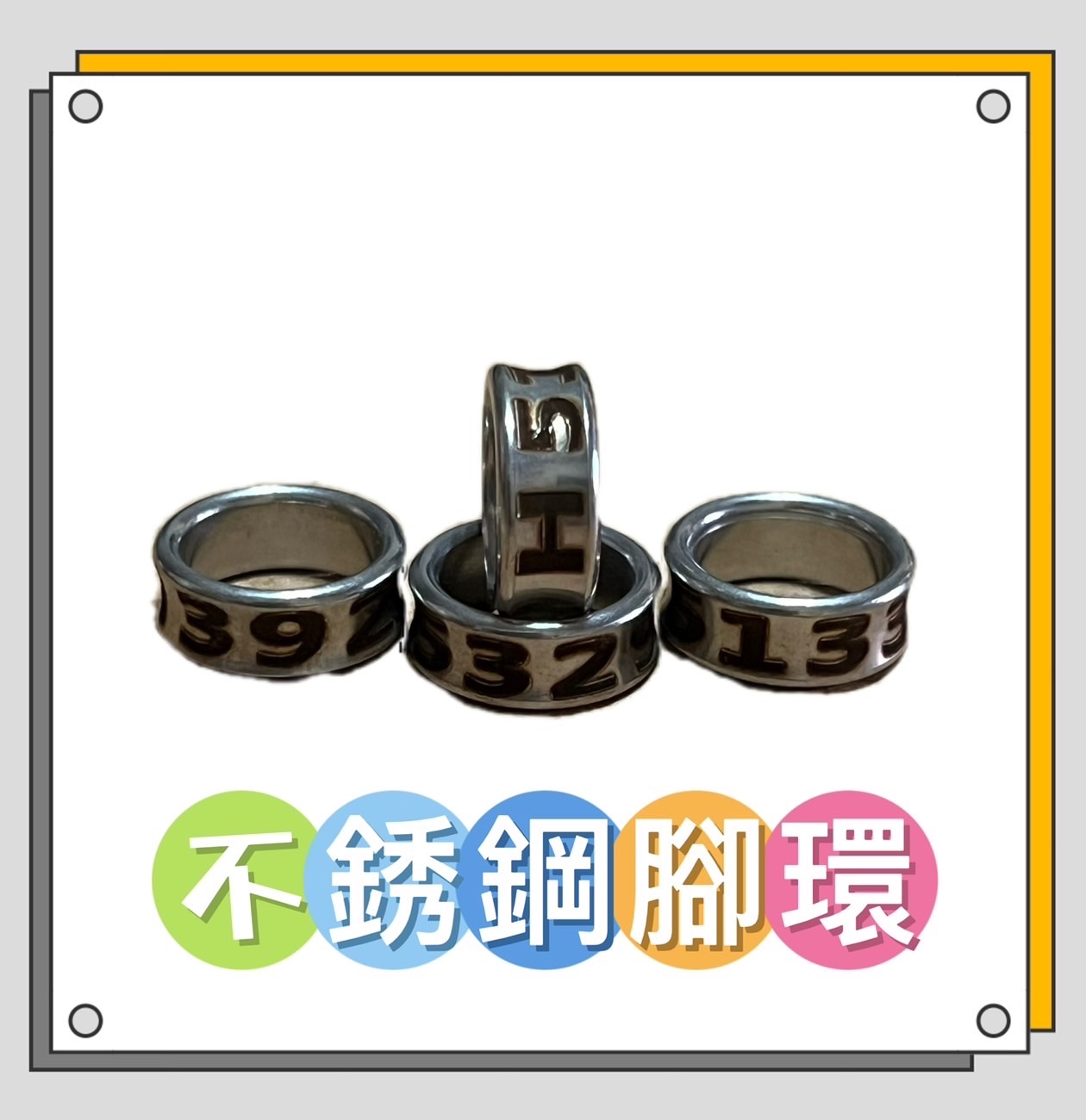 不銹鋼鸚鵡腳環