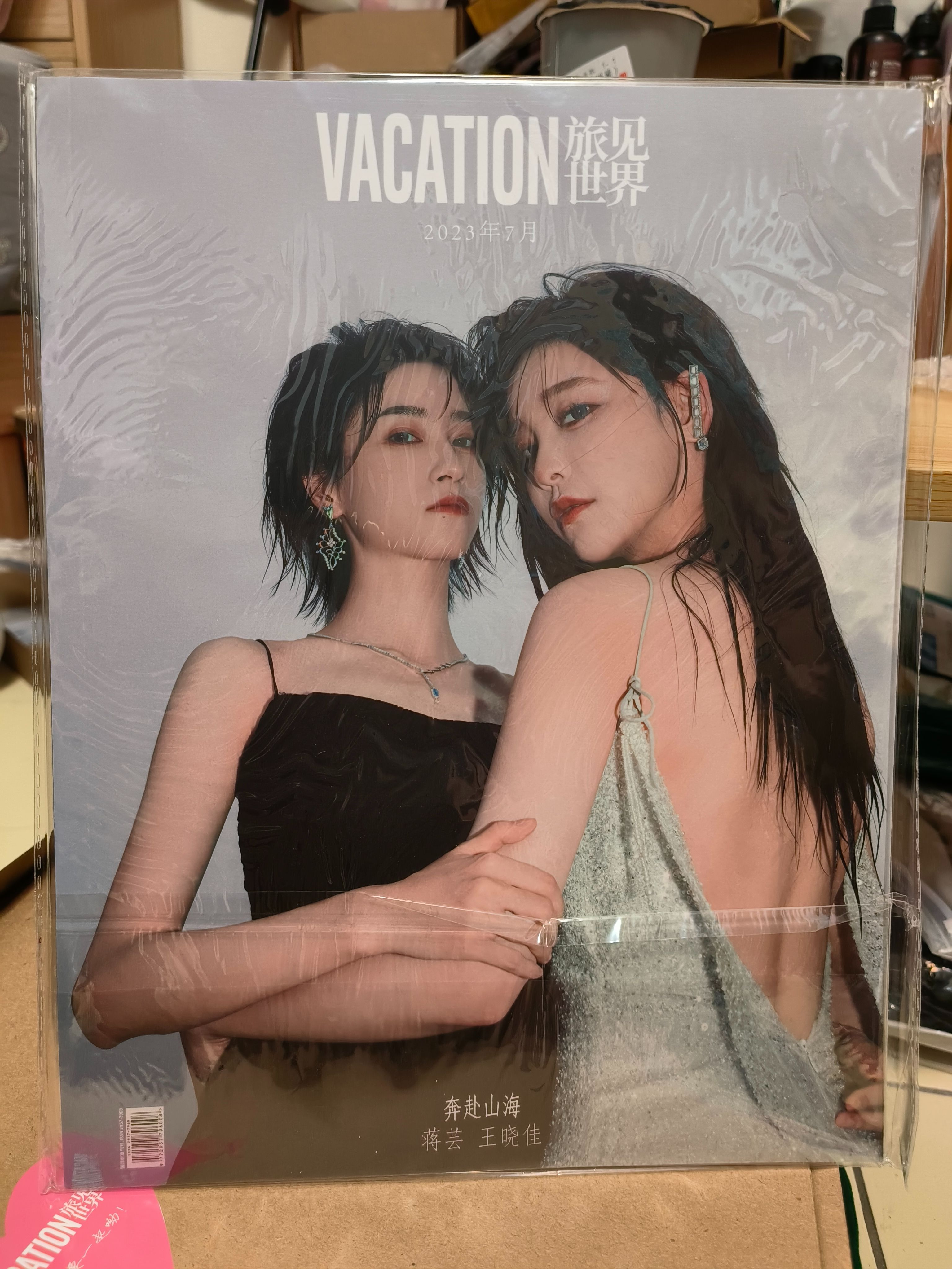 蒋芸王晓佳|奔赴山海四季交替 未完待续【D版