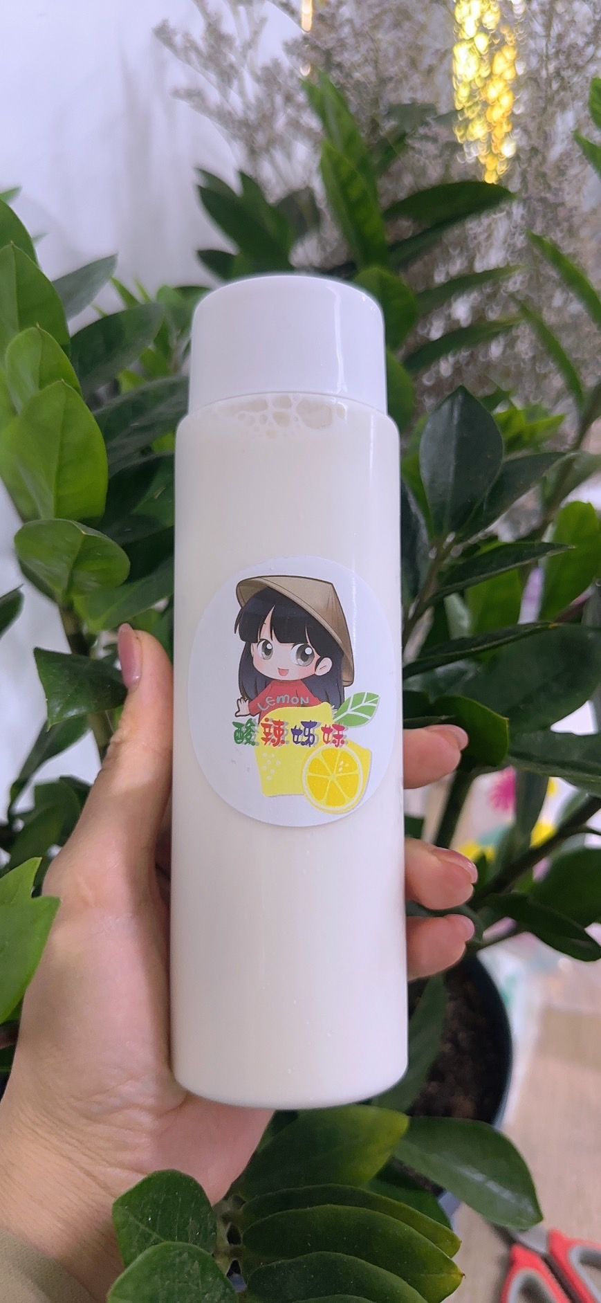 椰奶 sữa dừa