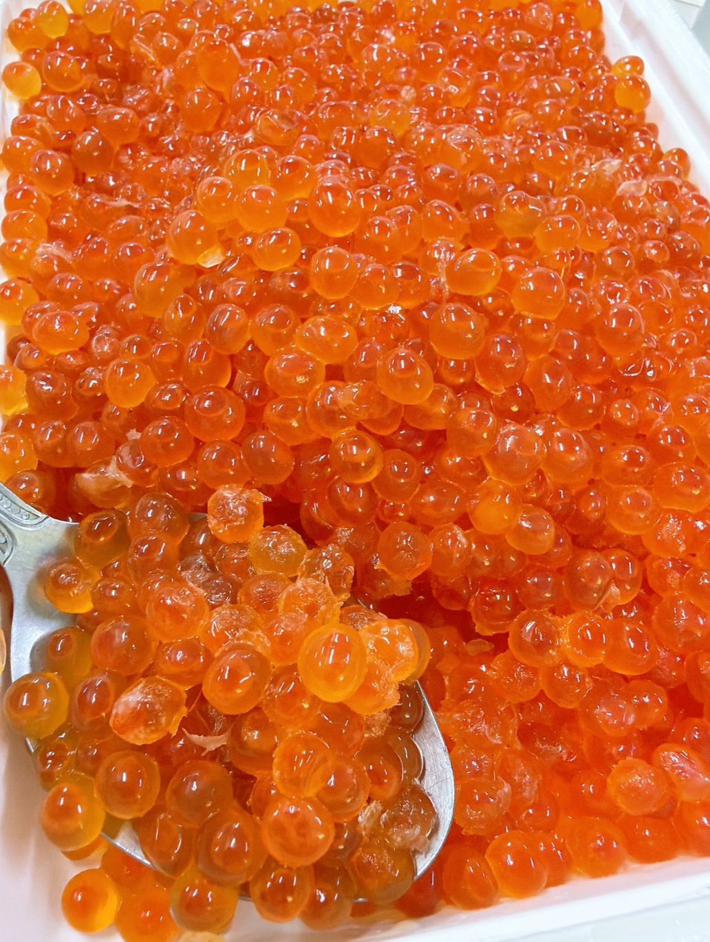 鮭魚卵Trứng cá hồi