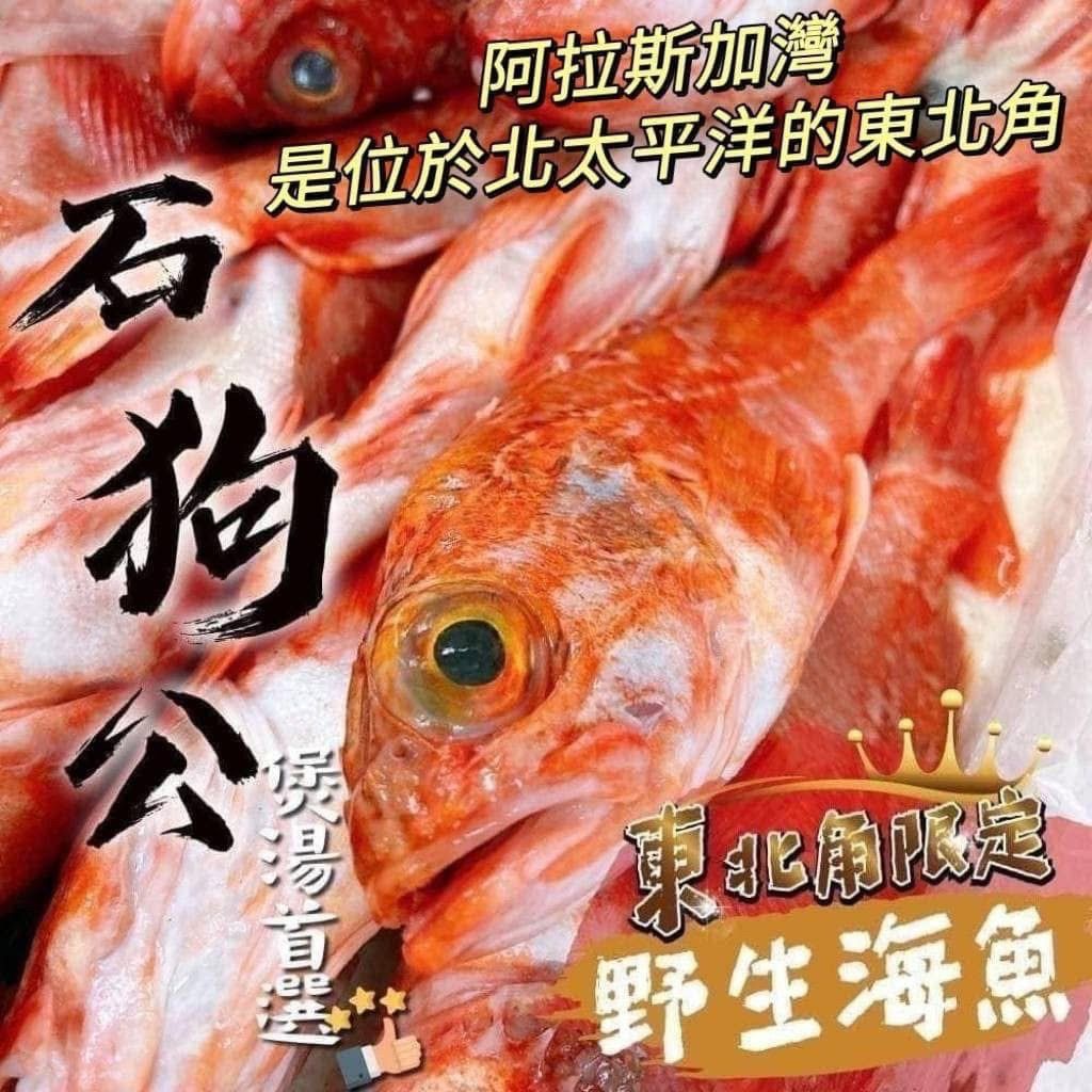 《石狗公魚片》（紅鮋魚）
