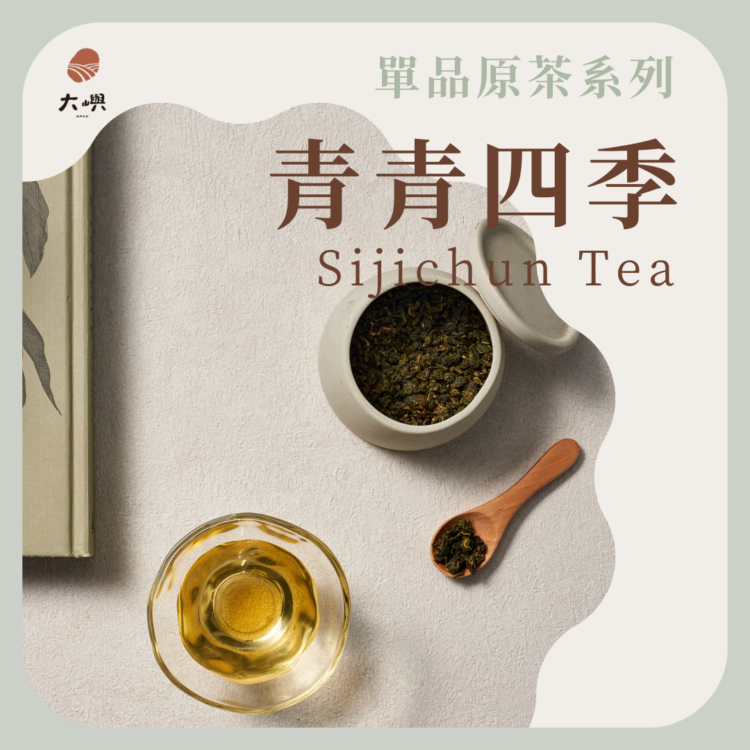 【大嶼-單品原茶系列】青青四季 📣茶包克數增量每包6g  📣散裝110g｜ 四季春 茶葉 茶包 烏龍茶