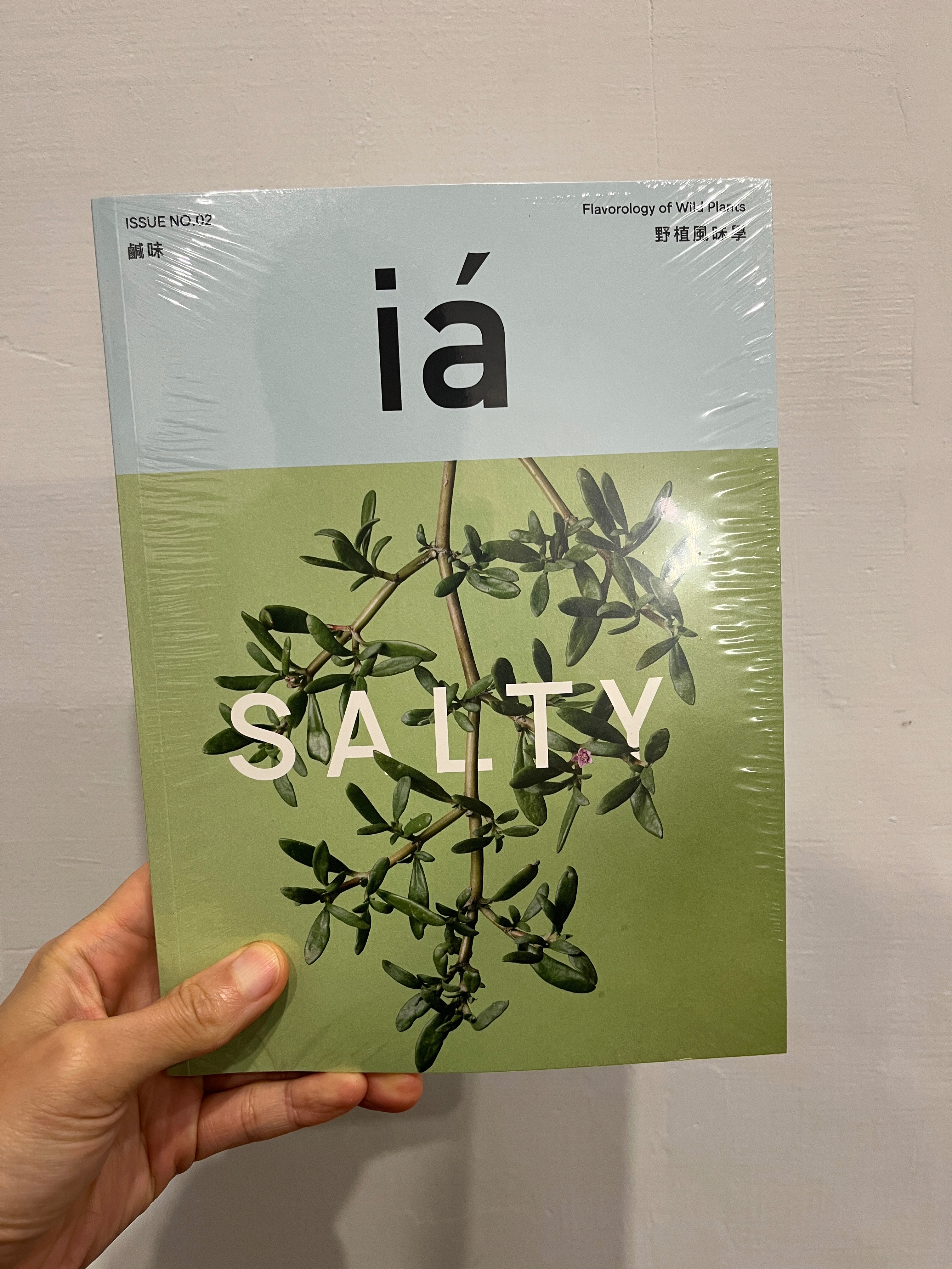 【書籍】野植風味學 no2 鹹味