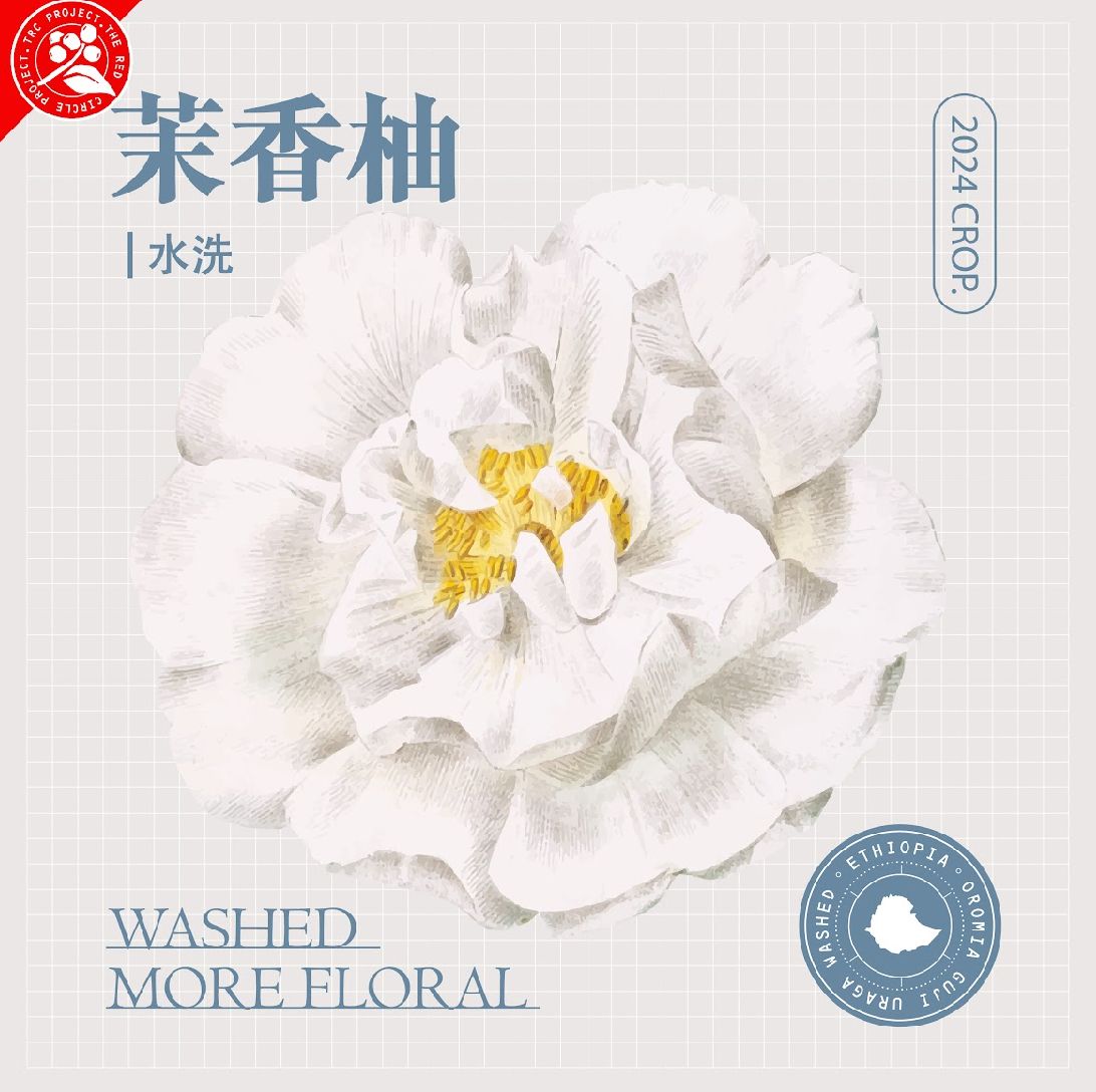 🌿 水洗茉香柚 – More Floral 處理站