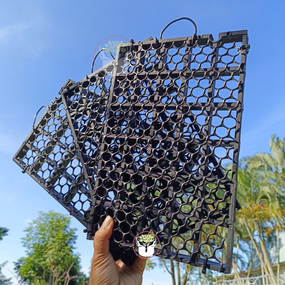 5格X6格（19cmX29.5cm）