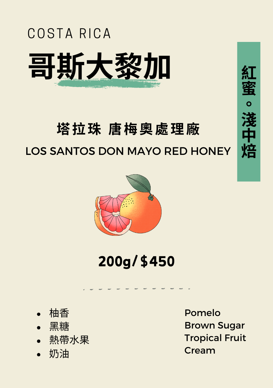 【豆人咖啡 Domain Coffee】哥斯大黎加 塔拉珠 唐梅奧處理場 紅蜜 淺中焙 | 自家烘焙咖啡豆