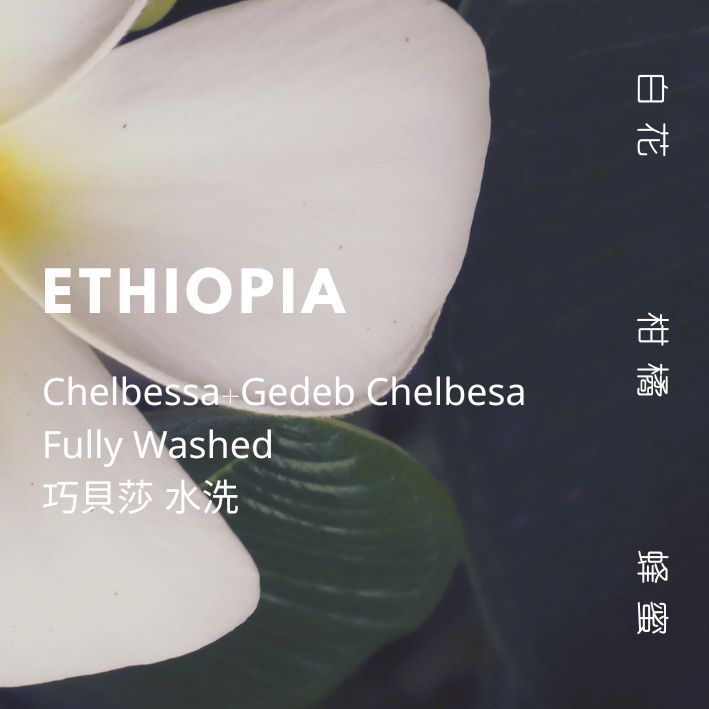 【豆人咖啡 Domain Coffee】衣索比亞 耶加雪菲 巧貝莎處理場  JARC精選 水洗 淺焙 | 自家烘焙咖啡豆