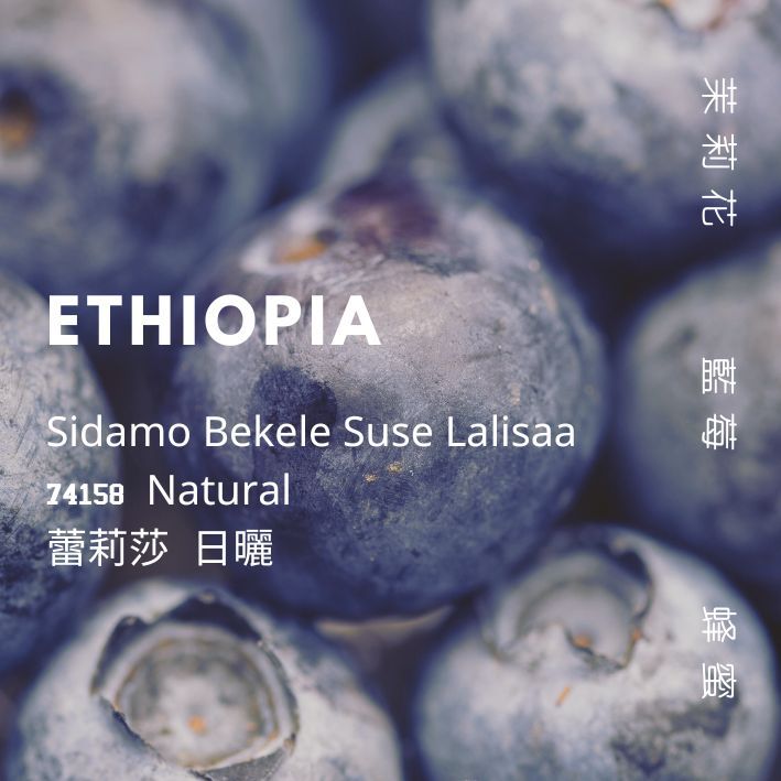 【豆人咖啡 Domain Coffee】衣索比亞 西達馬 蕾莉莎 74158 日曬 淺焙 | 自家烘焙咖啡豆