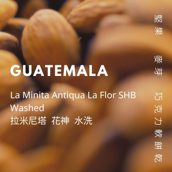 【豆人咖啡 Domain Coffee】瓜地馬拉 安提瓜 花神 水洗 中焙 | 自家烘焙咖啡豆