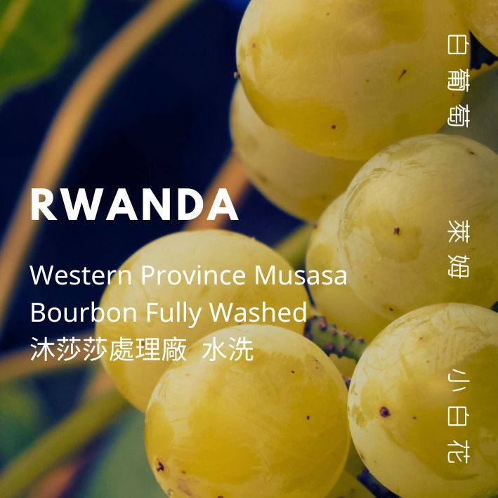 【豆人咖啡 Domain Coffee】 盧安達 沐莎莎 水洗 淺焙 | 自家烘焙咖啡豆