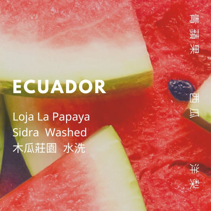 【豆人咖啡 Domain Coffee】厄瓜多 木瓜莊園 西爪 水洗 淺焙 | 自家烘焙咖啡豆