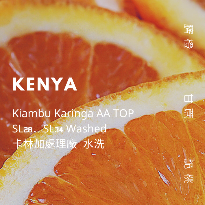 【豆人咖啡 Domain Coffee】肯亞 卡林加處理廠 AA TOP 水洗 淺中焙 | 自家烘焙咖啡豆
