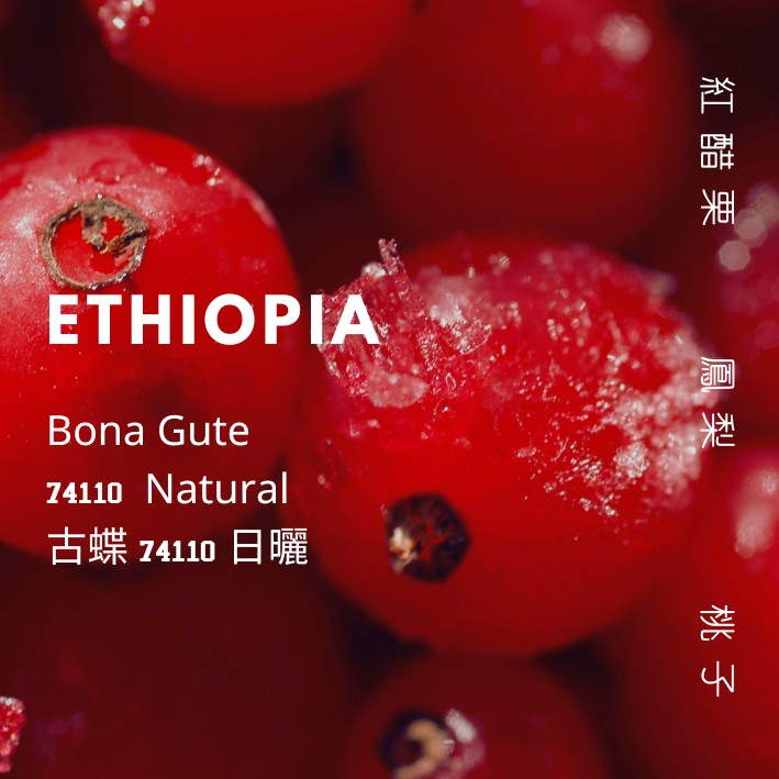 【豆人咖啡 Domain Coffee】衣索比亞 Bona Gute 古蝶 74110 日曬 淺焙 | 自家烘焙咖啡豆