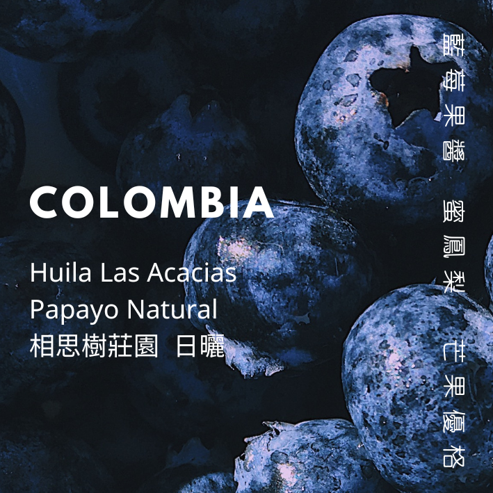 【豆人咖啡 Domain Coffee】 哥倫比亞 相思樹莊園 Papayo 日曬 淺中焙 | 自家烘焙咖啡豆