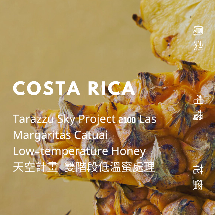 【豆人咖啡 Domain Coffee】哥斯大黎加 Tarazzu Sky Project 淺中焙 | 自家烘焙咖啡豆