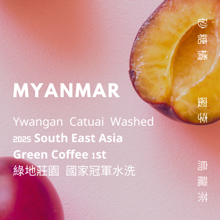 【豆人咖啡 Domain Coffee】緬甸 綠地莊園 國家冠軍 水洗 淺焙 | 自家烘焙咖啡豆