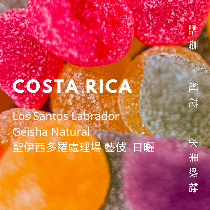 【豆人咖啡 Domain Coffee】哥斯大黎加 塔拉珠 聖伊西多羅處理場 藝伎 日曬 淺焙
