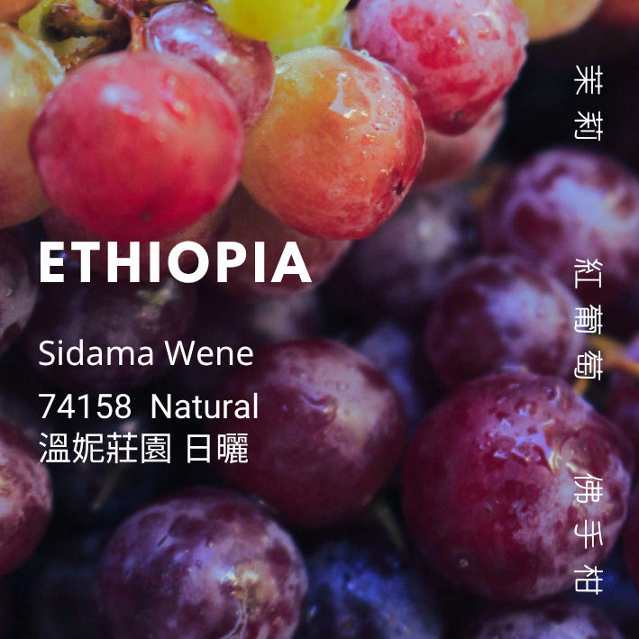 【豆人咖啡 Domain Coffee】衣索比亞 溫妮莊園 74158 日曬 淺焙 | 自家烘焙咖啡豆