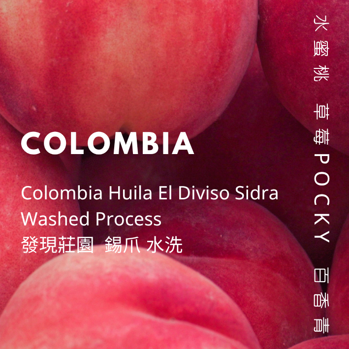 【豆人咖啡 Domain Coffee】 哥倫比亞 發現莊園 錫爪 水洗 淺焙 | 自家烘焙咖啡豆